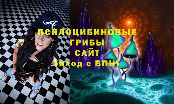 прущие крисы Армянск