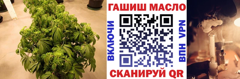 Дистиллят ТГК THC oil  наркота  Рошаль 