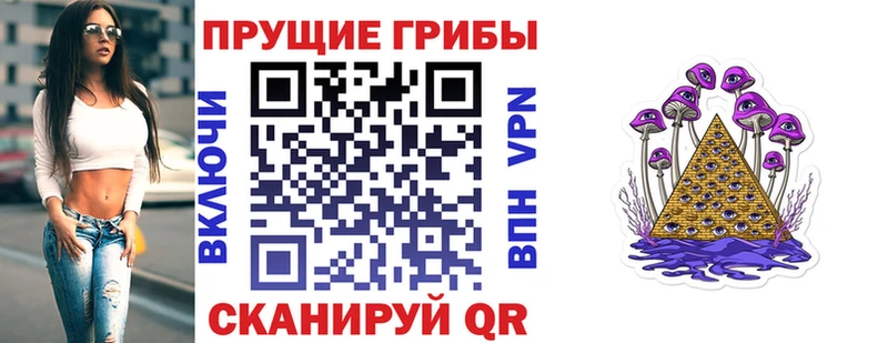 Псилоцибиновые грибы ЛСД Рошаль